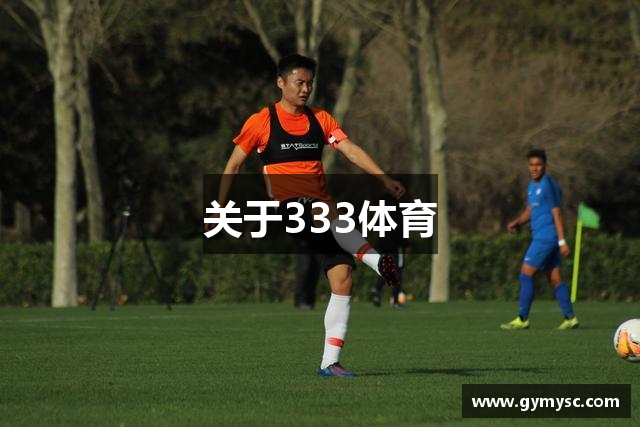 关于333体育